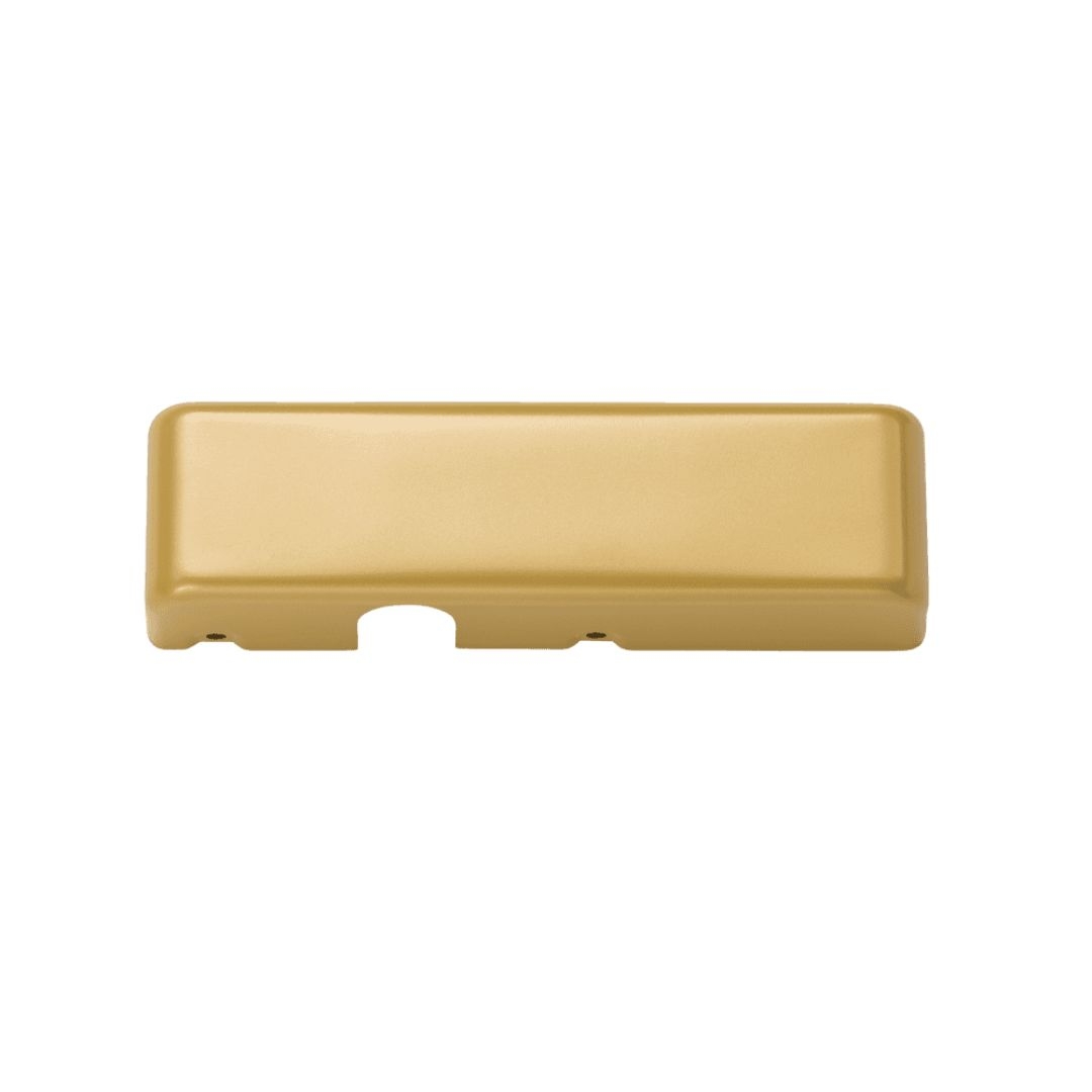 696 - Satin Brass Painted